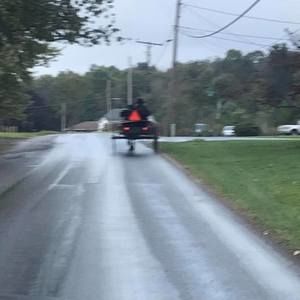 Meet your Posher, Timothy